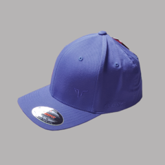 Gorra FlexFit Gabardina - comprar online