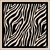 Pareô Zebra Tradicional - comprar online