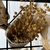 Ramo flores secas - tienda online