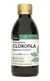 Clorofila magnesio y vitamina C 250ml sabor menta apto vegano natier