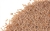 Psyllium en semillas x100g
