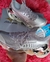 Tênis Mizuno Sorayama - comprar online