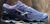 Mizuno Prophecy 9