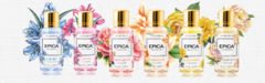 Banner de la categoría EPICA