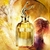 JEAN PAUL GAULTIER SCANDAL ABSOLU PARFUM en internet