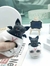 Squishy Pop Up Calavera murciélago Apretable Antiestres
