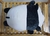 Almohadon almohada Panda peluche 35 cm en internet