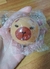 Squishy Capybara redondo - comprar online