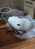 Estufita de bolsillo calentador de manos carga usb - Sestra Mania