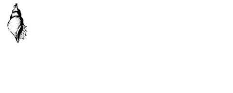 Agua Marina A118