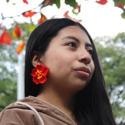 Tugtu rojo - comprar en línea