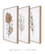 Conjunto 3 Quadros Decorativos - loja online