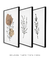 Conjunto 3 Quadros Decorativos na internet