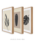 Imagem do Conjunto 3 quadros decorativos simplicidade