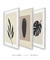 Conjunto 3 quadros decorativos simplicidade - comprar online