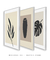 Imagem do Conjunto 3 quadros decorativos simplicidade