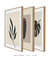 Conjunto 3 quadros decorativos simplicidade - loja online