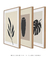 Conjunto 3 quadros decorativos simplicidade - comprar online