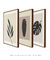 Conjunto 3 quadros decorativos simplicidade - comprar online