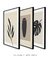 Conjunto 3 quadros decorativos simplicidade - loja online