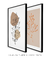 Conjunto com 2 Quadros Decorativos folhas e o ramo - loja online
