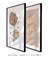Imagem do Conjunto com 2 Quadros Decorativos folhas e o ramo