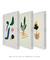 Imagem do Conjunto de quadros decorativos abstratos e modernos