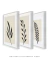 Conjunto de quadros pequenos para sala modernos floral - loja online