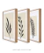 Conjunto de quadros pequenos para sala modernos floral - comprar online