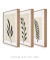 Conjunto de quadros pequenos para sala modernos floral - comprar online