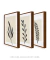 Conjunto de quadros pequenos para sala modernos floral na internet