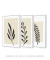Conjunto de quadros pequenos para sala modernos floral - comprar online