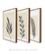 Conjunto de quadros pequenos para sala modernos floral na internet