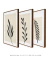 Conjunto de quadros pequenos para sala modernos floral na internet