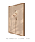 Quadro decorativo algodoeiro - Quadro cores | quadros decorativos para sala, modernos e grandes