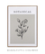 Quadro decorativo botanical simple - Quadro cores | quadros decorativos para sala, modernos e grandes