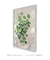 Imagem do Quadro decorativo Filodendro coração