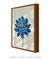 Quadro decorativo flor de lótus na internet