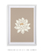 Quadro decorativo Lotus Serena - Quadro cores | quadros decorativos para sala, modernos e grandes
