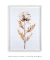 Quadro decorativo ramo de algodoeiro - Quadro cores | quadros decorativos para sala, modernos e grandes