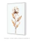 Quadro decorativo ramo de algodoeiro - comprar online