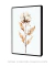 Quadro decorativo ramo de algodoeiro - loja online