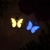 Dije Mini Mariposa Fotoluminiscente - Brilla en la oscuridad en internet