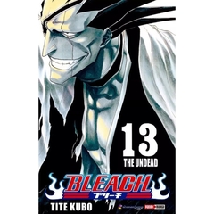 Bleach #13