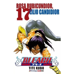 Bleach #17