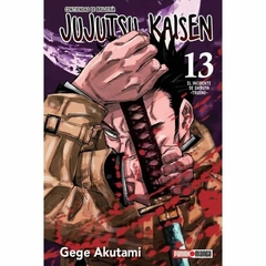 Jujutsu Kaisen #13