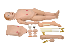 SD-4000/INF - MANEQUIM BISSEXUAL INFANTIL DE 3 A 5 ANOS C/ ORGÃOS P/ TREINO EM ENFERMAGEM - comprar online