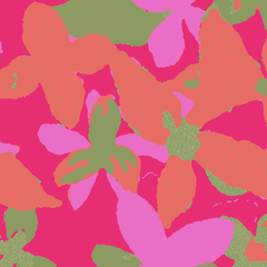 Enteriza Crop Ceibo