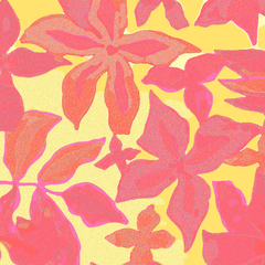 Enteriza Crop Sauce