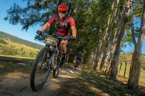 Carrusel The Bee Co.